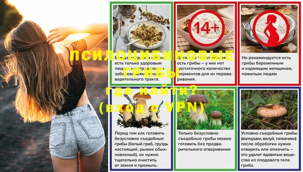 кокс Алексин