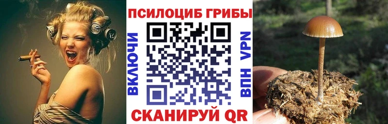 blacksprut ТОР  Ермолино  Псилоцибиновые грибы MAGIC MUSHROOMS 